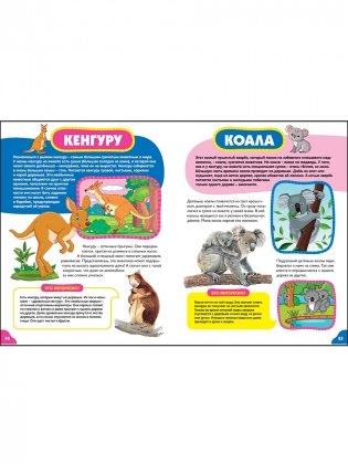 Животные для самых маленьких. Лучшая энциклопедия для малышей фото книги 8