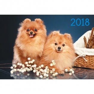 Календарь на 2018 год "Символ года. Очаровательные шпицы" фото книги