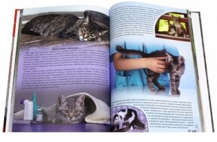Энциклопедия о кошках и собаках фото книги 2