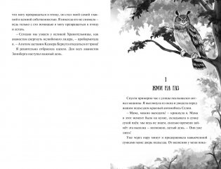 Зачарованные крылья фото книги 6