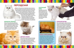 Моя первая книга о кошках и котятах. Детская энциклопедия фото книги 6
