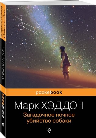 Загадочное ночное убийство собаки фото книги 2