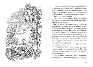 Тайна сгоревшего коттеджа фото книги 6