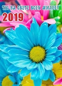 Карманный календарь на 2019 год "Ты на свете всех милее!", с подставкой фото книги