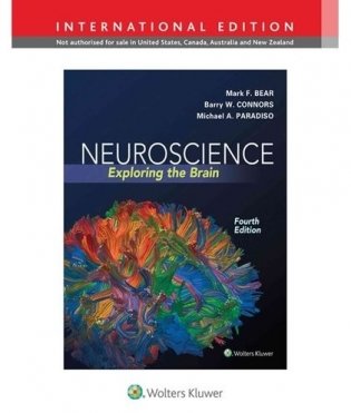 Neuroscience. Exploring the Brain фото книги