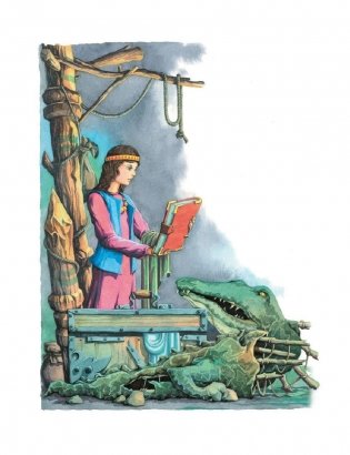 Дочь Гингемы фото книги 3