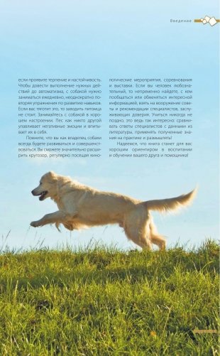 Дрессировка и воспитание собаки (+ DVD) фото книги 8