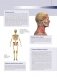 Анатомия человека. Большой популярный атлас фото книги маленькое 7