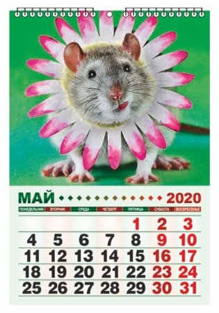 Календарь настенный перекидной "Символ года" на 2020 год фото книги 2
