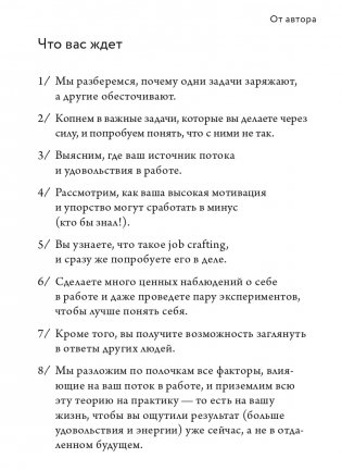 Работа, которая заряжает. Как не выгореть, занимаясь любимым делом фото книги 11