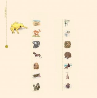 Уникальная иллюстрированная энциклопедия для детей. Животные фото книги 5