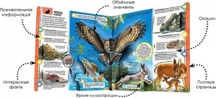 Планета Земля. Энциклопедия открытий фото книги 2