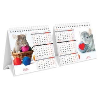 Календарь-домик на 2020 год на гребне "Mono Premium. Символ года", 190x170 мм фото книги