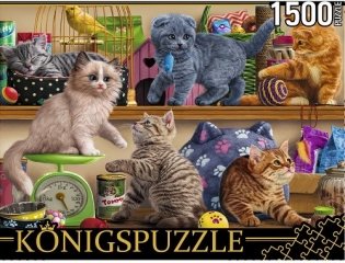 Пазлы "Konigspuzzle. Амстердам. Котята в зоомагазине", 1500 элементов фото книги