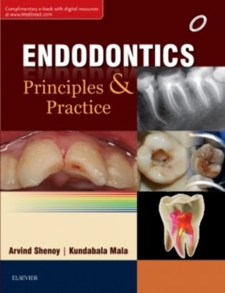 Endodontics: Principles and Practice (Complimentary e-book with digital resources) фото книги