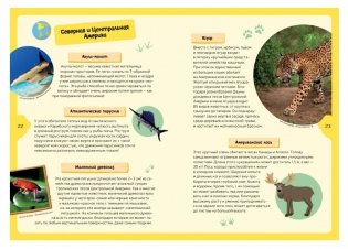 Животные планеты. Интерактивная детская энциклопедия с магнитами фото книги 6