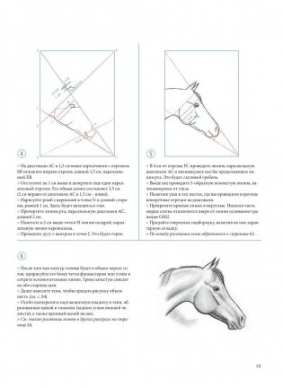 Рисуем лошадей. Руководство фото книги 11