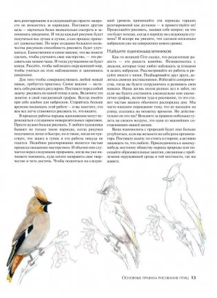 Как рисовать птиц. Руководство фото книги 11