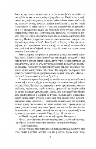 Подых навальніцы. Раман фото книги 9