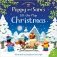 Poppy and Sam's Lift-the-Flap Christmas. Board book фото книги маленькое 2
