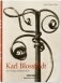 Karl Blossfeldt. The Complete Published Work фото книги маленькое 2