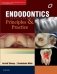 Endodontics: Principles and Practice (Complimentary e-book with digital resources) фото книги маленькое 2
