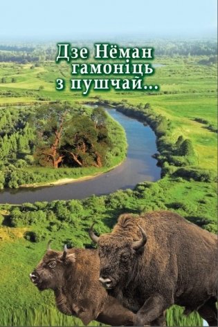 Дзе Нёман гамоніць з пушчай... фото книги