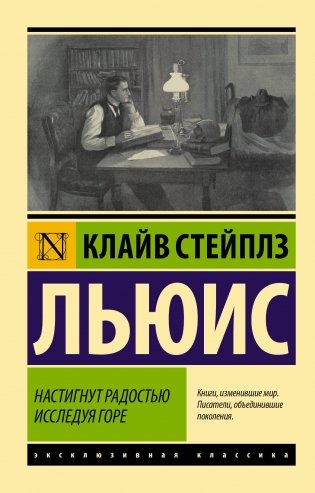 Настигнут радостью. Исследуя горе фото книги