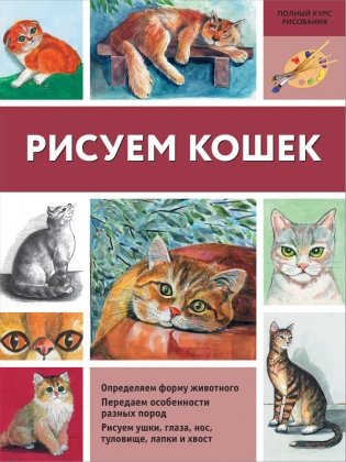 Рисуем кошек фото книги