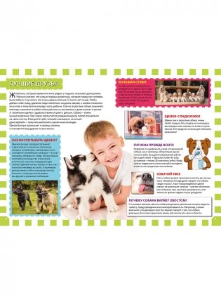 Детеныши животных фото книги 2