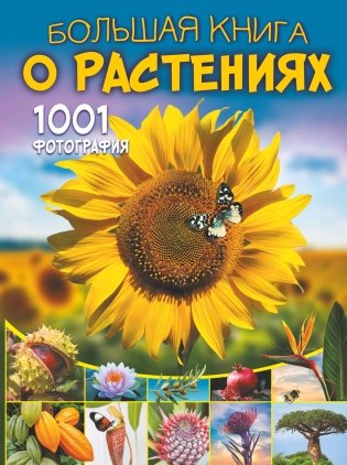 Большая книга о растениях. 1001 фотография фото книги