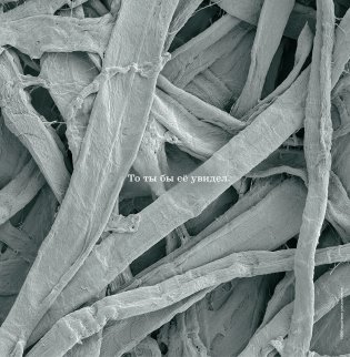 Не лижи эту книжку фото книги 6