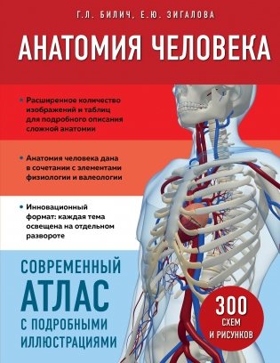 Анатомия человека. Современный атлас с подробными иллюстрациями фото книги