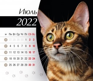 Календарь-домик (евро) "Кошки. Маркет" на 2022 год фото книги 2