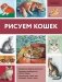 Рисуем кошек фото книги маленькое 2
