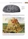 Монеты мира. Визуальная история развития мировой нумизматики от древности до наших дней фото книги маленькое 9