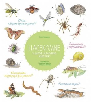 Насекомые и другие маленькие животные фото книги