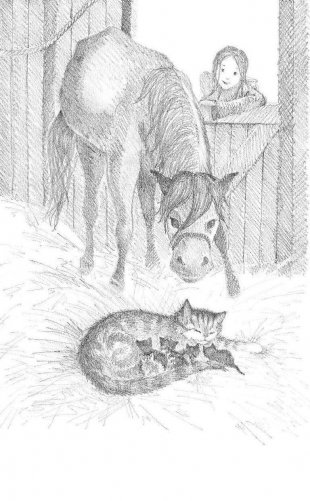 Котёнок Пушинка, или Рождественское чудо (выпуск 4) фото книги 10