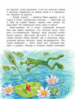 Царевна-лягушка фото книги 10