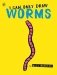 I Can Only Draw Worms фото книги маленькое 2