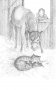 Котёнок Пушинка, или Рождественское чудо (выпуск 4) фото книги маленькое 11