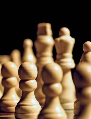 Шахматы: история, правила, навыки, тактики фото книги 3