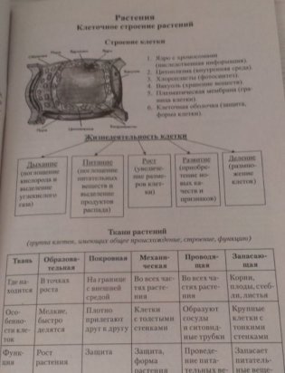 Биология в таблицах и схемах для школьников и абитуриентов фото книги 5