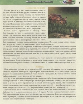 Энциклопедия. Кошки фото книги 6