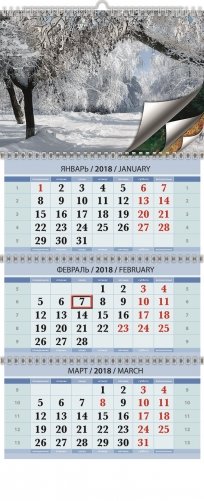 Родные просторы. Календарь квартальный трехблочный настенный на 4-х спиралях с ригелем на 2018 год фото книги