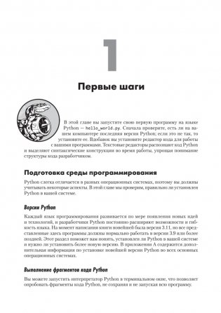 Изучаем Python. Программирование игр, визуализация данных, веб-приложения фото книги 2
