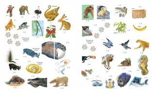 Животные такие разные (с наклейками) фото книги 4