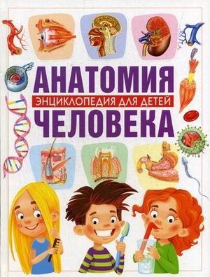 Анатомия человека. Энциклопедия для детей фото книги