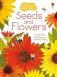 Seeds and Flowers фото книги маленькое 2