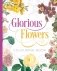 Glorious flowers colouring book фото книги маленькое 2